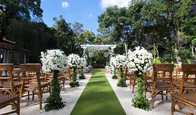 綠城一小時(shí)活動(dòng)圓滿啟動(dòng)